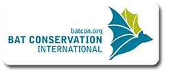 Bat Conservation International