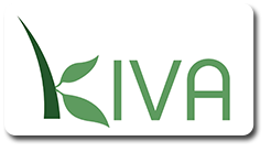 Kiva