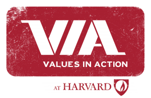 Values in Action
