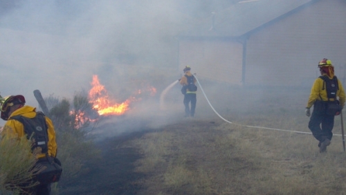 High Park firefighter