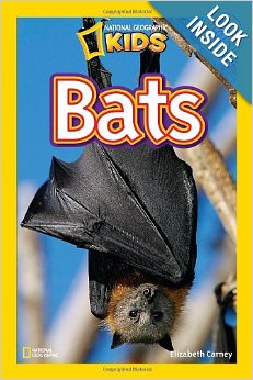 National Geographic: Bats