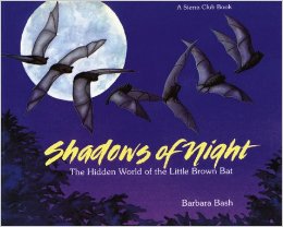 Shadows of the Night